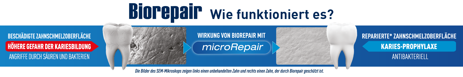 Biorepair: Wie funktioniert es?